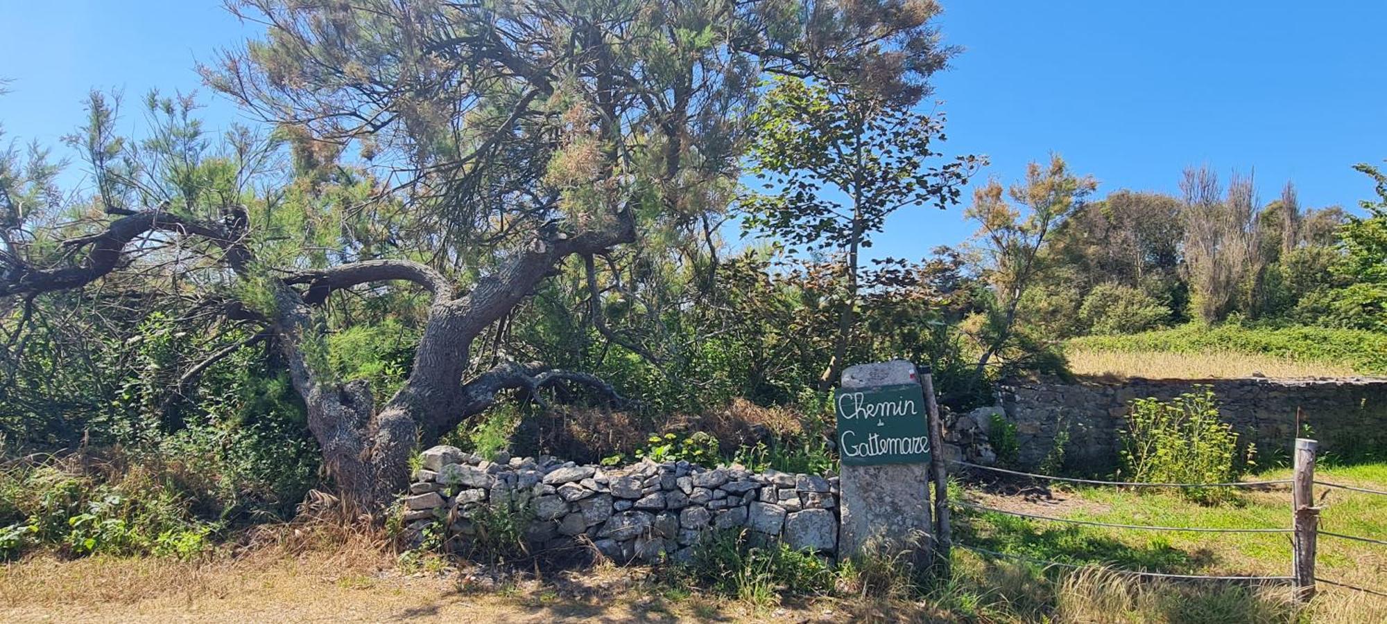 Relais Des Iles Marcouf Saint-Marcouf